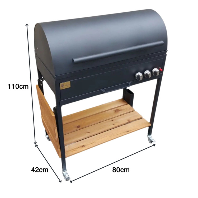 باربیکیو گازی اصلان مدل M80T