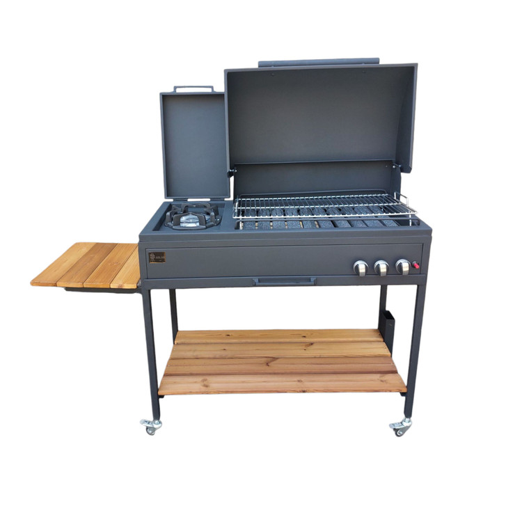 باربیکیو گازی اصلان مدل M100 طرح2